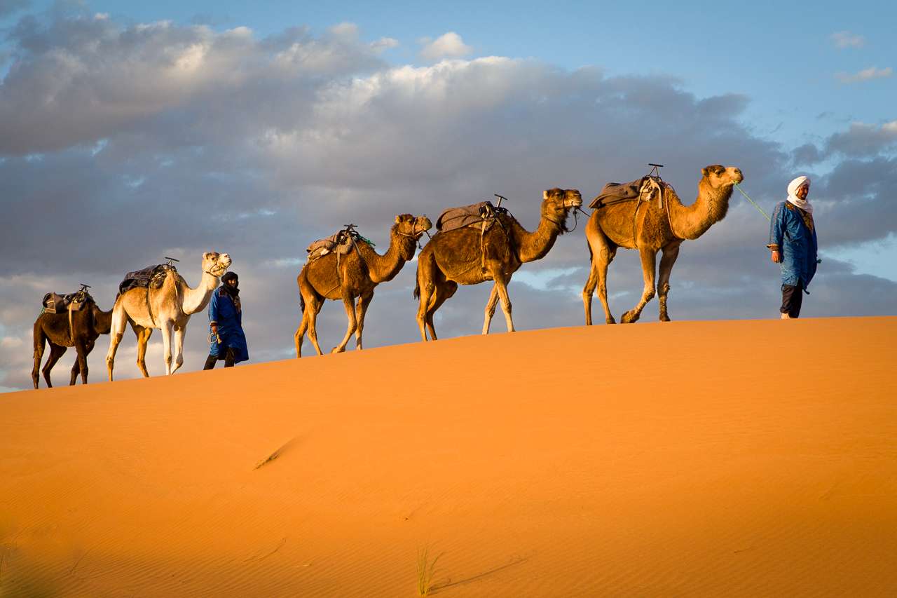 You are currently viewing Kosher Morocco – November 2023